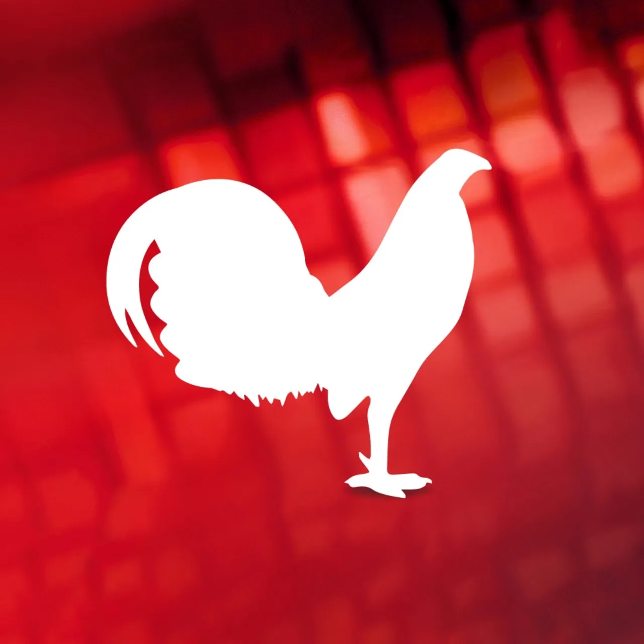 imagen no encontrada :(